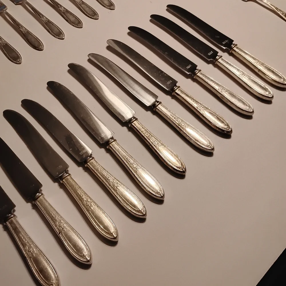 WM Rogers & Son AA Silver Plate 56 Piece Flatware Set‎ Triumph Service For 10 +